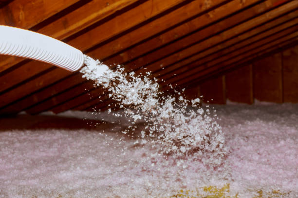 Best Commercial Insulation in Elizabeth Lake, CA
