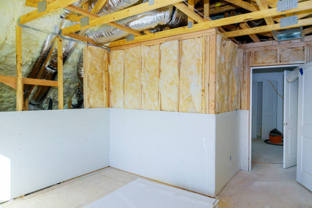 Best Types of Insulation in Elizabeth Lake, CA